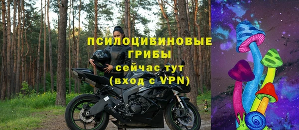 сатива Краснослободск